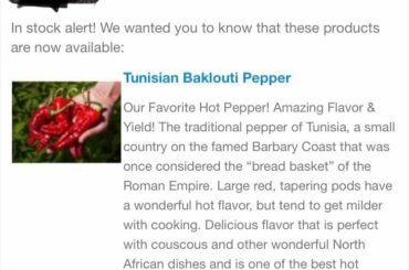 Back in stock at Baker Creek Seeds!