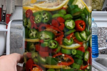 1 gallon of lacto fermented serrano and Fresno. I can't wait to throw these on burgers this summer.
