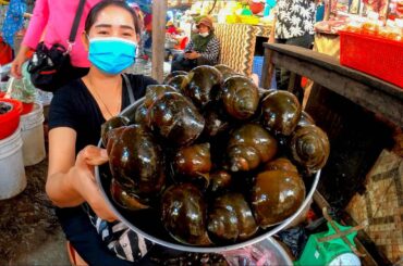 Market Tour - Buy River Snail For My Cooking - River Snail Grilling Recipe - Spicy Chili Sauce