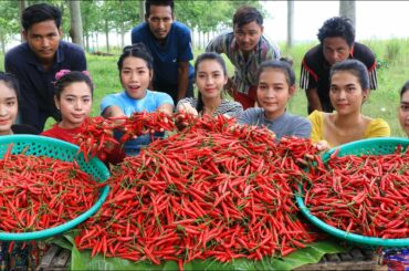 Amazing cooking 50 kg chili with chicken recipe in my homeland - Amazing video