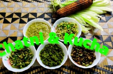 How to make chili recipes | chili Tahalka| Mirchi ki 5 chatniyan+Kucha| Green chili