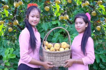 Pick santol fruit in My homeland | Santol fruit recipes with Salt chili | Healthy fruit