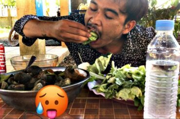 Yummy! GRILLED SANILS BBQ FOR FOOD | COOKING SNAIL BBQ WITH CHILI SNAUCE RECIPE[ YPR Food ]