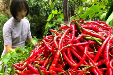 SUB) How To Make The Best Spicy Chili Sauce (HANDMADE) | #01