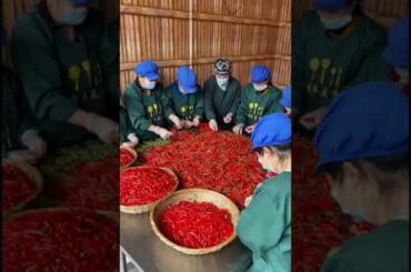 ASMR  Food Chili sauce regarded as soul jar dishes by Chinese. is it tasty for you?#kitchenware