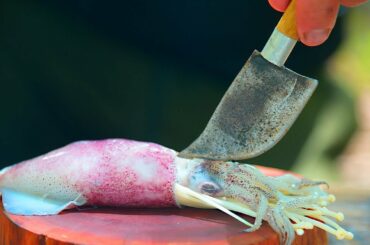 Cooking Mushroom in Squid with Chili Recipe & Eating Delicious - My Natural Food In Bamboo Jungle.