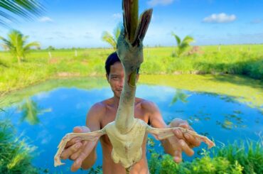 Grilled Duck with Honey and Chili in My Country | Village Food Cooking