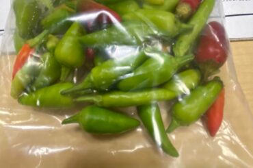 Growing peppers my new obsession.