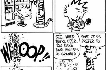 Saw this on r/calvinandhobbes; think it captures the spicy rush as only Calvin can