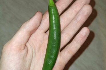 What kind of jalapeno is this? I bought this as jalapeno but it seems a bit longer and maybe spicier