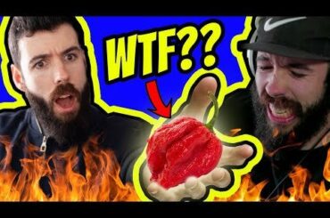 OH GOD! Never again...