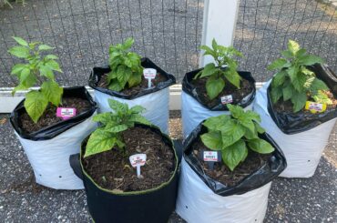 What a cool community us spicy people belong to.