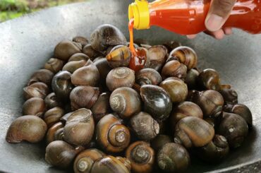 Snail Cooking Vegetable | Snail and Chili Sauce Recipe | Cooking Field Snail in Village