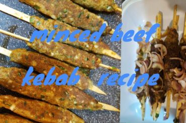 Restaurant Style Chilli Minced Beef Kebad Recipe/Magda B Dolfo