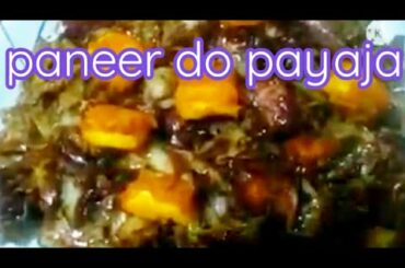 Hotel Style Paneer Do Pyaza | chili paneer recipe |
