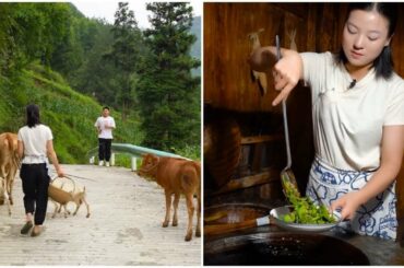 Rural work in the morning, Cooking green chili recipe