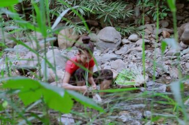 Yummy Cooking duck Fresh Spicy Chili Eating Fried Duck Lemongrass,Hot Chili With Basil So Delicious