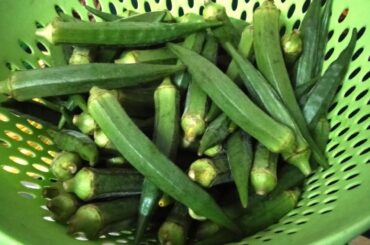 Chilli Bhindi Recipe | Chili Okra | Very Tasteful Okra Recipe | Bhindi Recipes || Garlic Bhindi