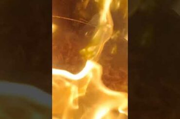 chinese style beef chili onion recipe|Beef Chili dry  recipe