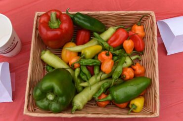 Food access non profit in New York is doing a Hot Pepper Challenge. Anybody want to join in?