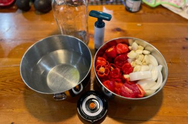 Making fermented habanero sauce! See you in 10 days.