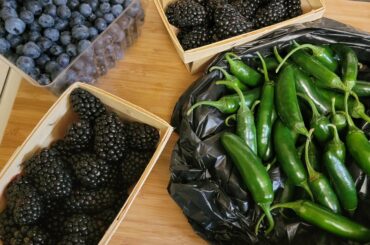 Not usually a fan of Fruity sauces but these farmers market finds were hard to pass up. Turned out wonderful and warm! Also my first experiment with Xanthan Gum and it was a fun learning experience. Blackberries, Blueberries, Honey, Charred Serranos.