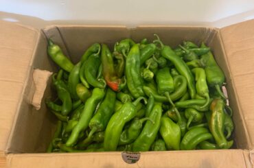 Hatch peppers from New Mexico just arrived in NYC. 25 pounds to start processing, should be a fun weekend!