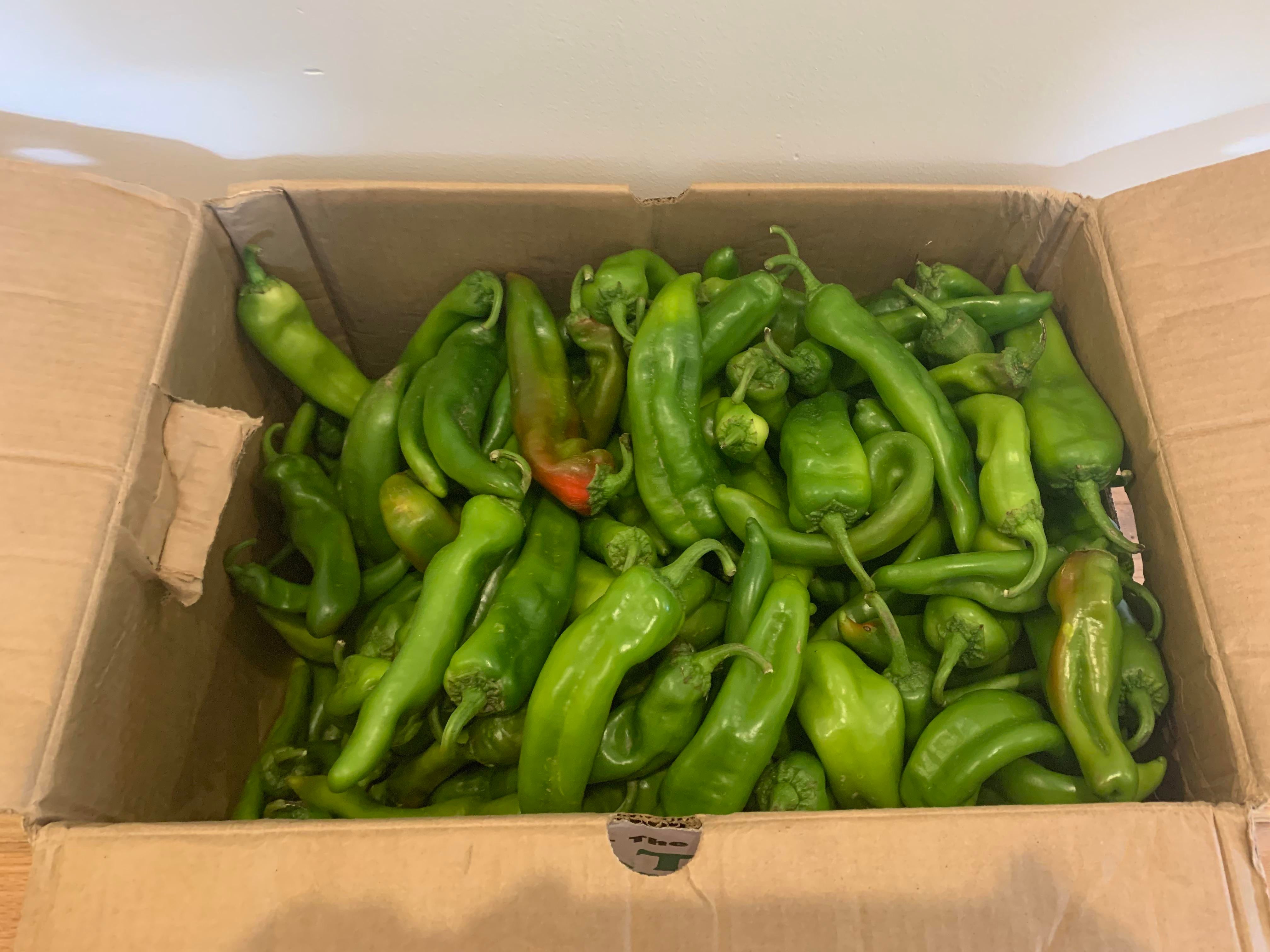 Hatch peppers from New Mexico just arrived in NYC. 25 pounds to start