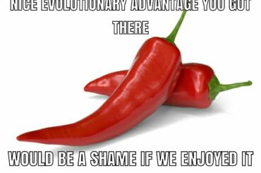 Joke's on you I'm into that shit