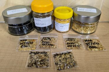 Saved seed ready for the next season (Australia).