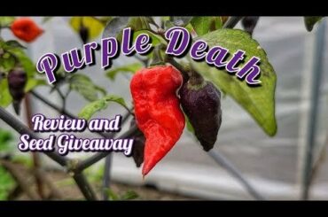 Flavor on this pepper is great!