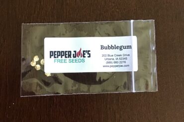 Would anyone like some free seeds?