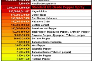 Whats the max level of spice you guys can handle?