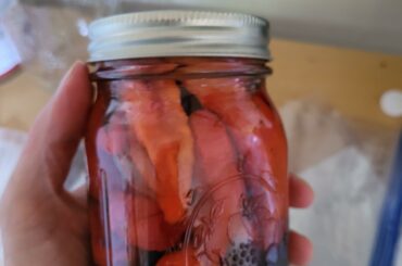 I also pickled some ghost and scorpion peppers