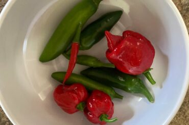 First mini harvest of the year