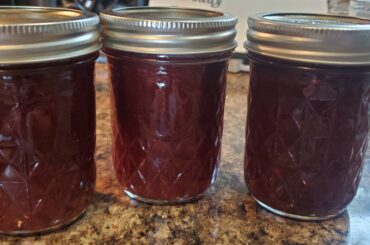 Its huckleberry season here, so I made some huckleberry habanero BBQ sauce! Can't wait to slather some on pork ribs!