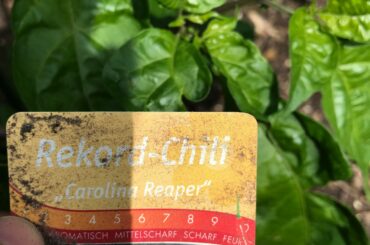 Need your help with processing of this accidental buy