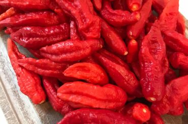 I ain’t afraid of no ghost!