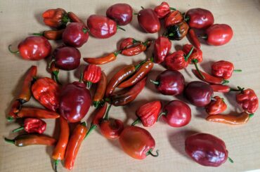 Let's play "remember which ones I was told were hot" after a drunken get together.