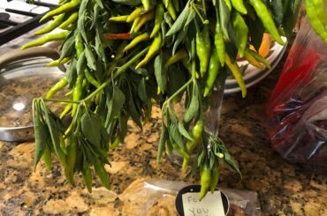 “You get me bouquets of flowers. I get you bouquets of hot peppers” definitely found the right one