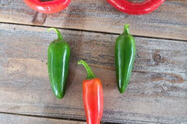 Homegrown goodness UwU