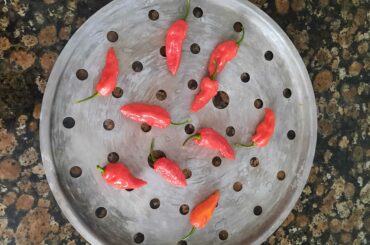 My yield of ghost peppers from my plant