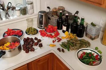 Couple peppers from the garden this morning. I planted too many reapers!