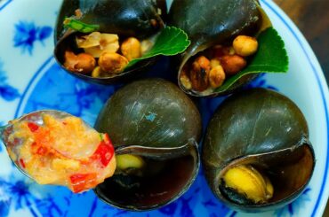 |Survival Miniature Wilderness Cooking| Amazing Grill Snails With Fresh Milk Chili Sauce Recipe.