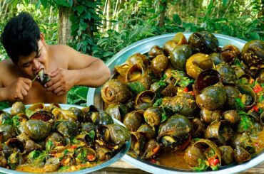 Collecting Snail Cooking with Hot Spicy Chili & Basil Eating Super Yummy - Cook Curry Snail Recipe