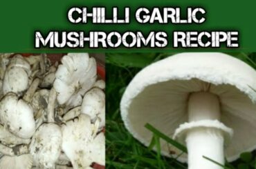 Mushrooms recipe / Chilli garlic spicy mushrooms recipe/By ChandBe