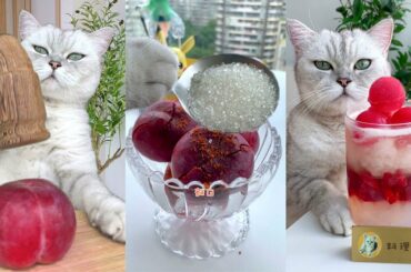 Fresh Plum Juice With Chili VS With Sugar ?|Easy Summer Drinks Recipe | CatCookingShow