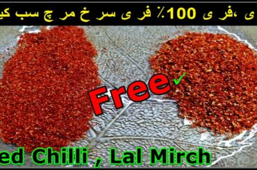 Free Red Chili | Red Chili Homemade Recipe | Laal Mirch | Lal Mirch Powder | Masala Recipe