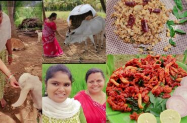 Chippi Kalan fry | Chippi Kalan chilli Recipe in Tamil | How to make mushroom fry and chilli ?