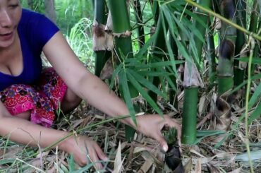 Awesome Cooking Bamboo shoot with hot spicy chili - Survival skills